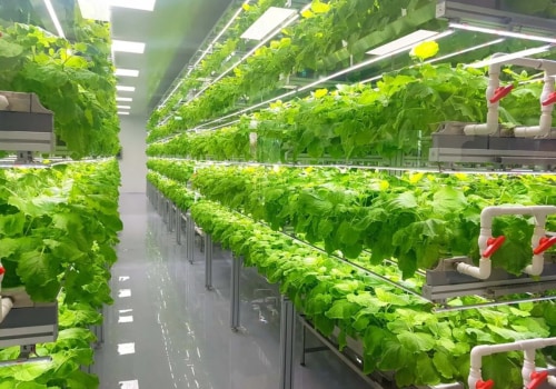 Water and Energy Conservation: Sustainable Solutions for Urban Farming