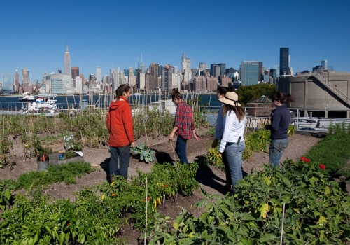 Exploring the World of Hydroponics: Community Gardens and Urban Farms