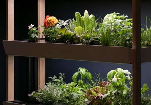 Hydroponic Systems for Small Spaces: Maximize Your Indoor Gardening Potential