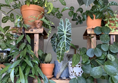 Replacing Bulbs and Troubleshooting Issues for Hydroponic Grow Lights